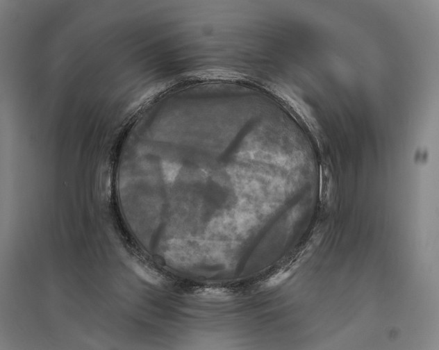 X0000095110157200712301745