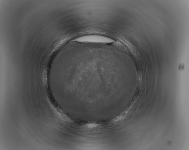 X0000095110158200712301745