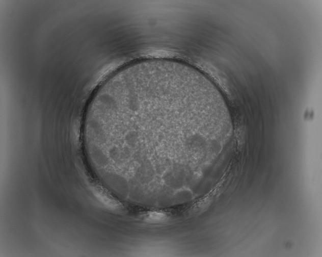 X0000095110159200712301745