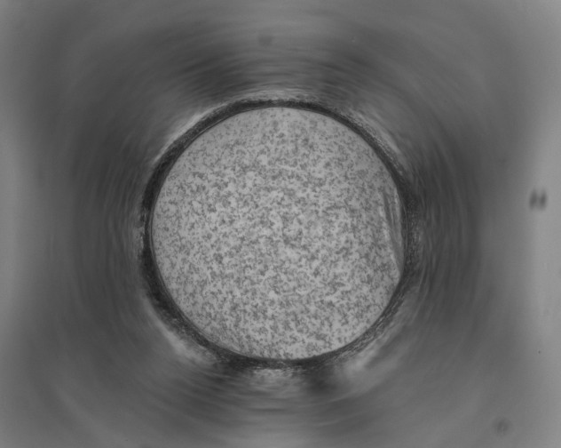 X0000095110160200712301745