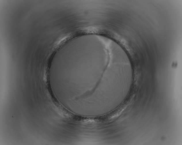 X0000095110161200712301745