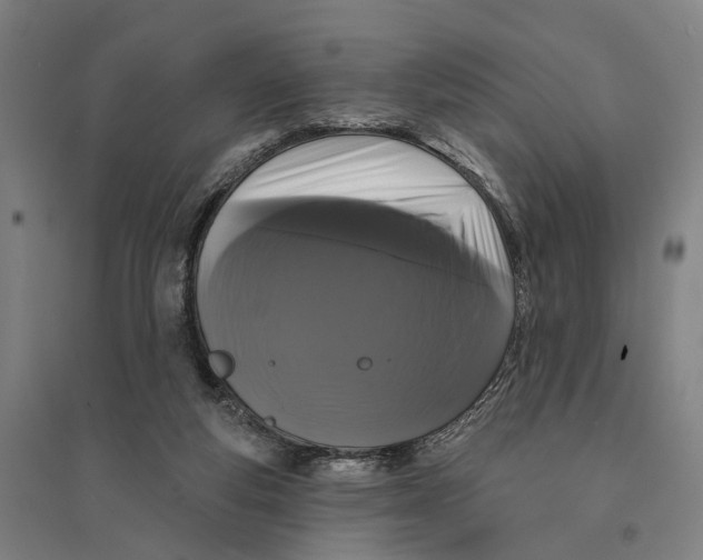 X0000095110163200712301745