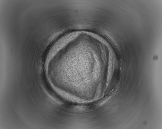 X0000095110164200712301745