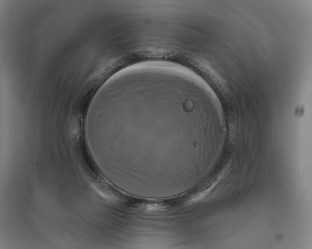 X0000095110165200712301745