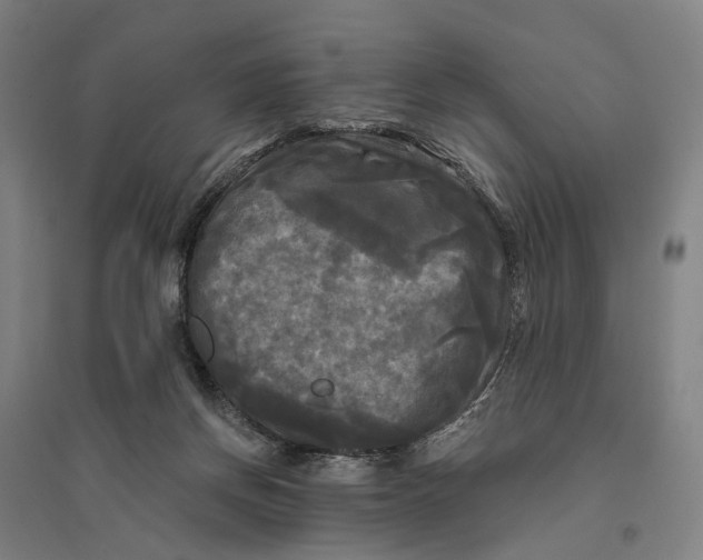 X0000095110166200712301745