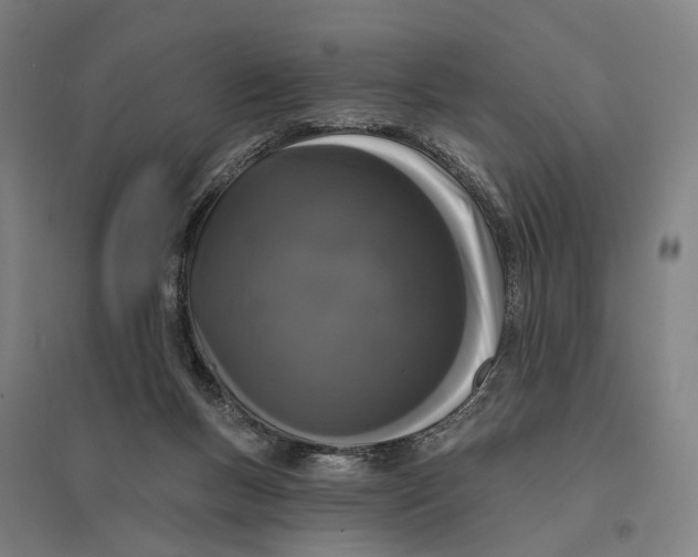 X0000095110167200712301745