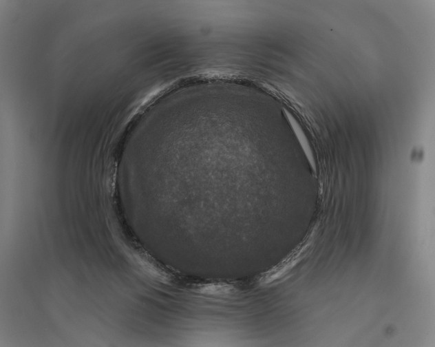 X0000095110168200712301745