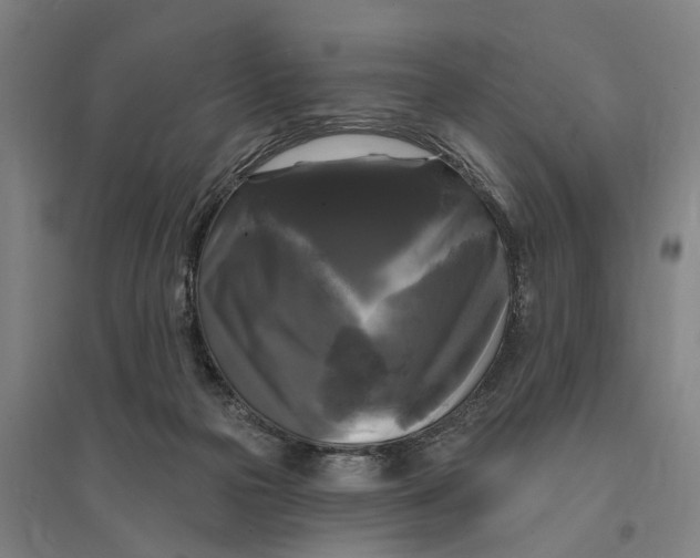 X0000095110169200712301745