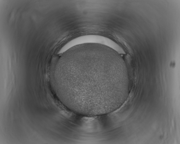 X0000095110170200712301745