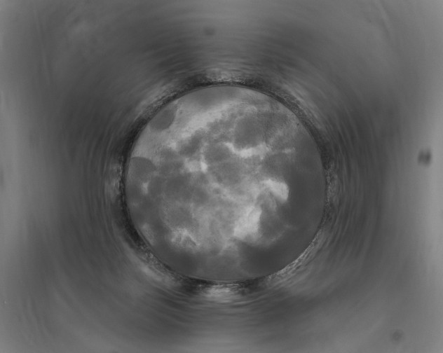 X0000095110171200712301745