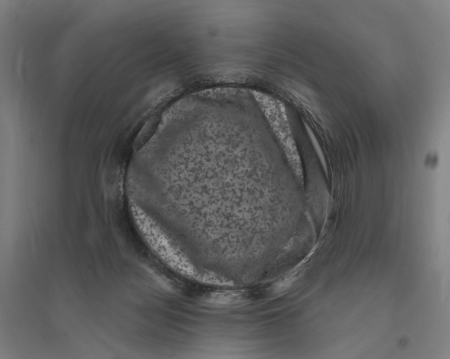 X0000095110172200712301745