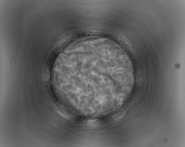 X0000095110173200712301745