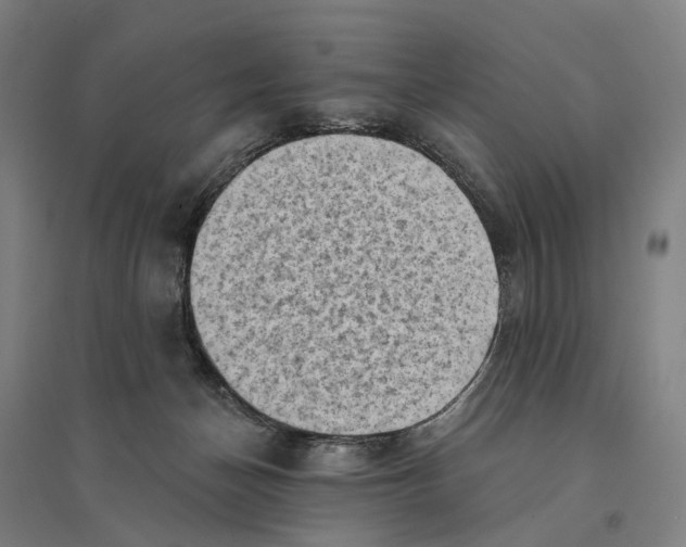 X0000095110174200712301745