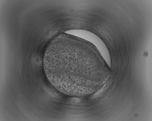 X0000095110176200712301745