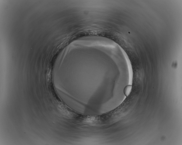 X0000095110177200712301745