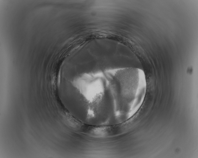 X0000095110178200712301745