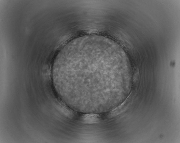 X0000095110179200712301745