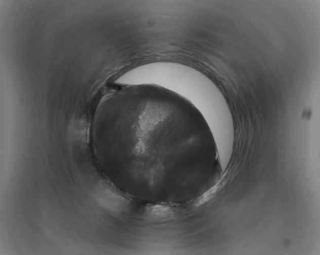 X0000095110180200712301745