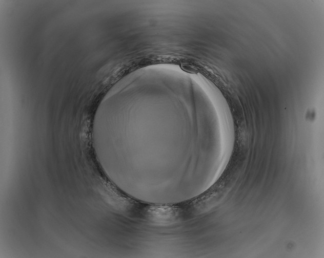 X0000095110181200712301745