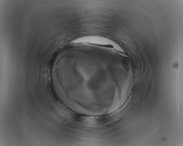 X0000095110182200712301745