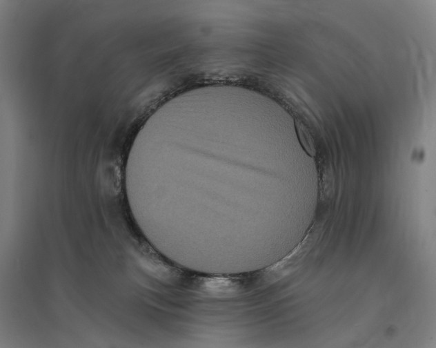 X0000095110183200712301745