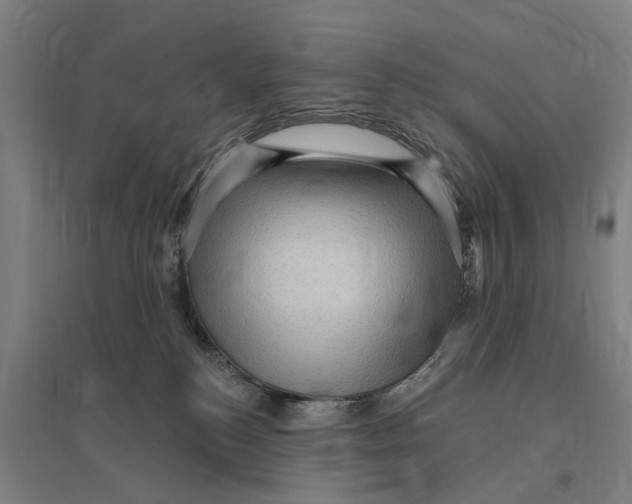 X0000095110184200712301745