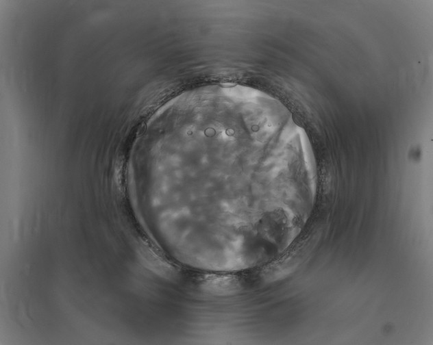 X0000095110185200712301745