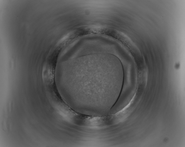 X0000095110186200712301745