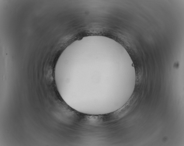 X0000095110187200712301745