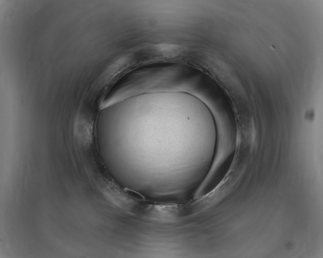 X0000095110188200712301745