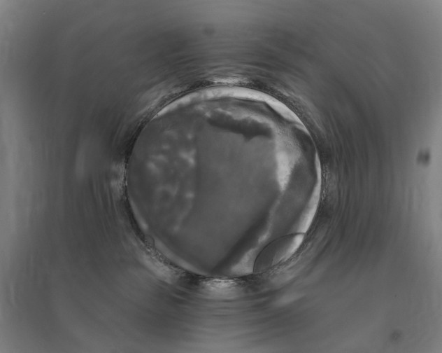 X0000095110189200712301745