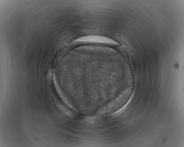 X0000095110190200712301745