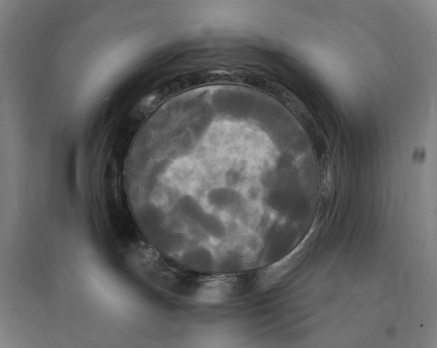 X0000095110191200712301745