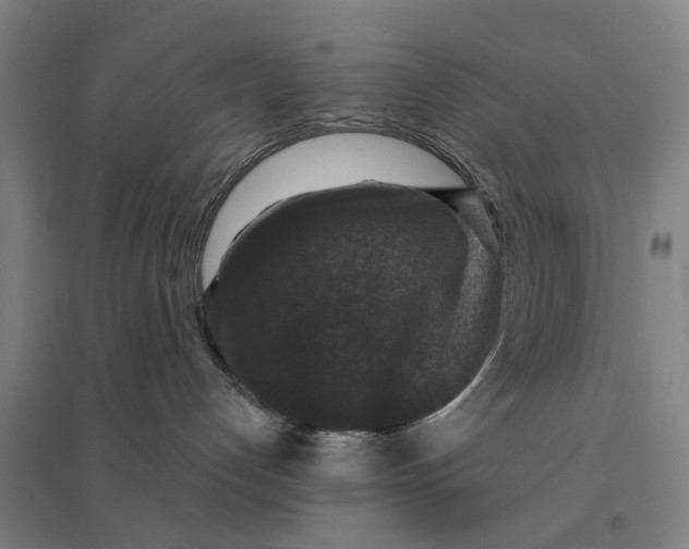 X0000095110192200712301745