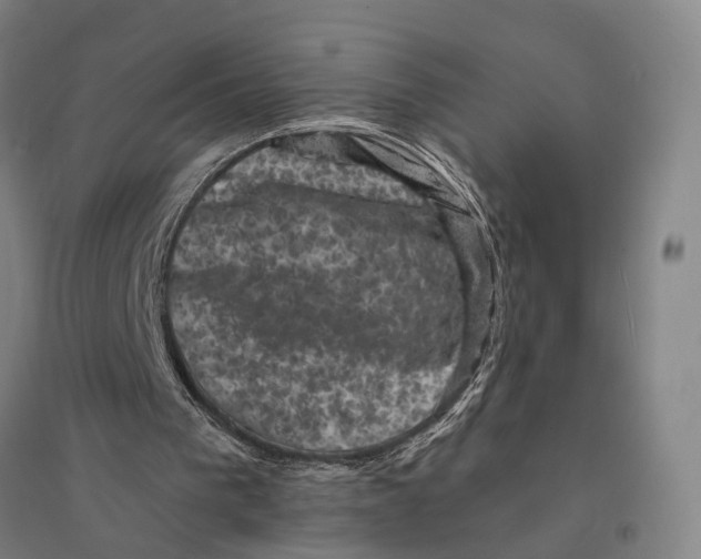 X0000095110193200712301745