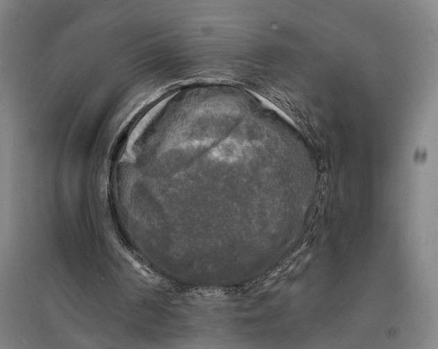 X0000095110194200712301745