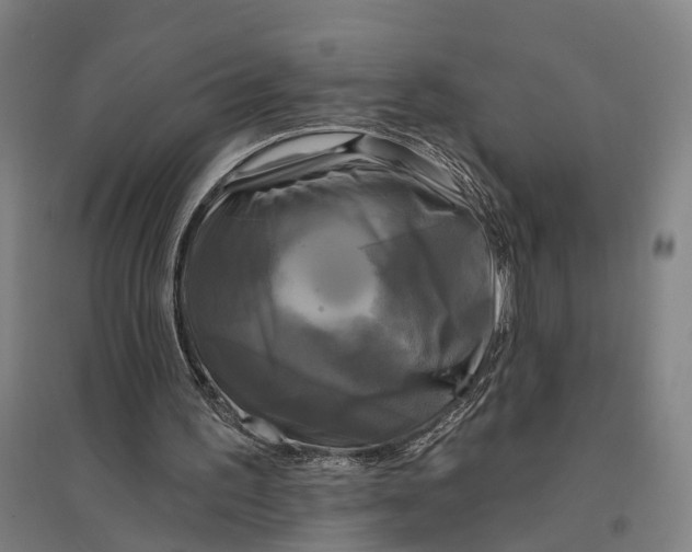 X0000095110195200712301745