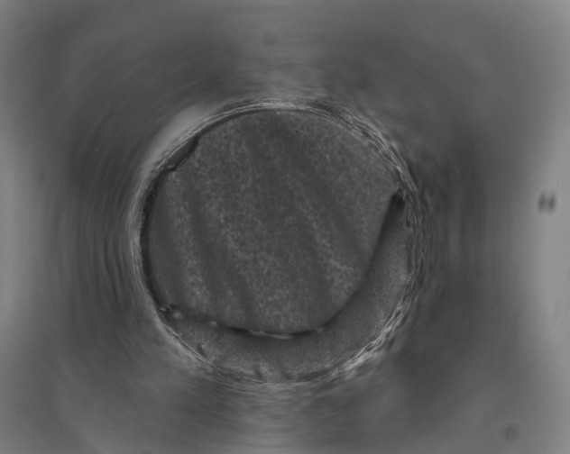 X0000095110197200712301745