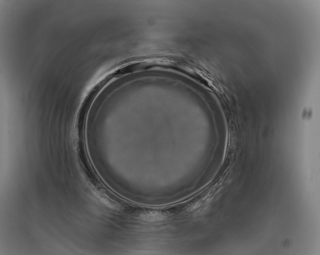 X0000095110198200712301744