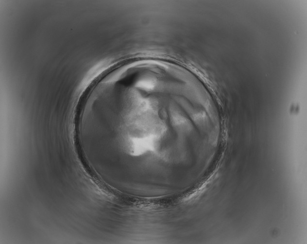 X0000095110199200712301744