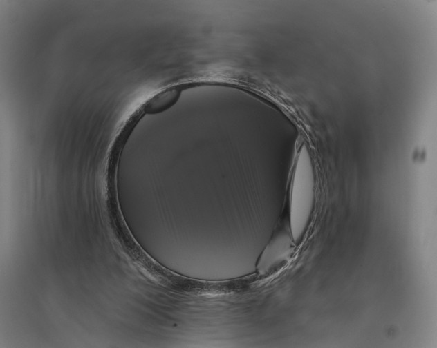 X0000095110200200712301744