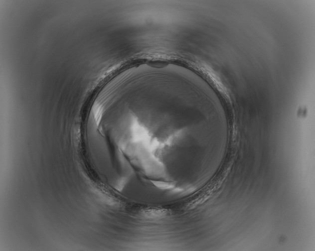 X0000095110202200712301744