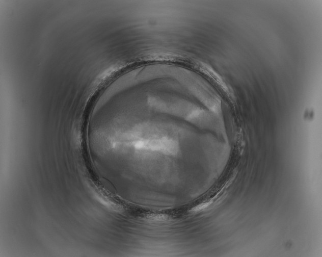 X0000095110203200712301744