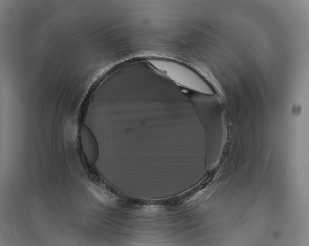 X0000095110204200712301744