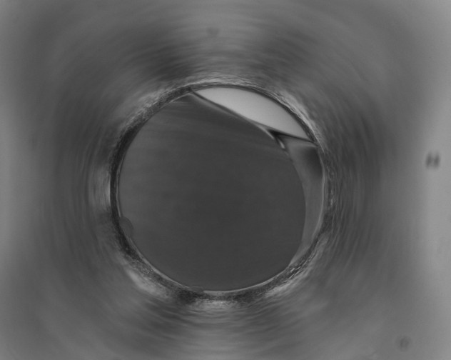 X0000095110205200712301744