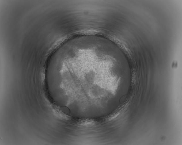 X0000095110206200712301744