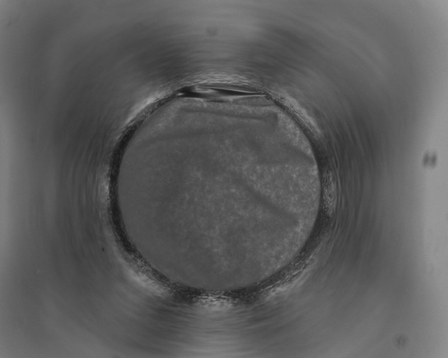 X0000095110207200712301744