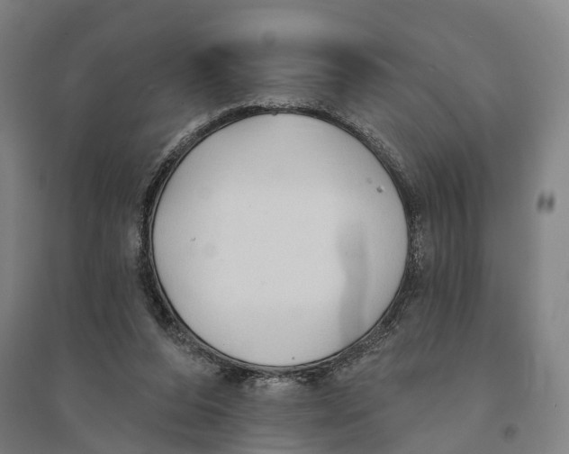 X0000095110208200712301744