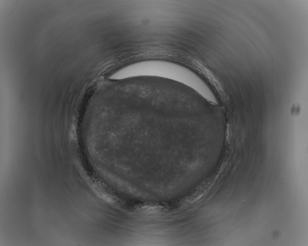 X0000095110209200712301744