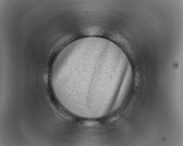 X0000095110210200712301744